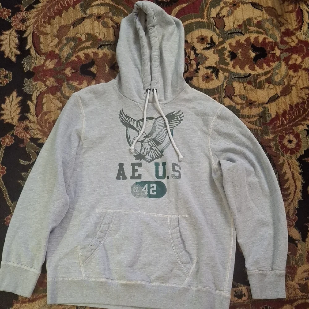 American Eagle Outfitters Light Gray Hoodie - Picture 1 of 3